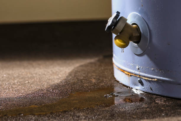 Best Water damage contractors near me  in Ault, CO