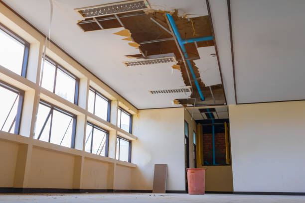 Best Flooded house restoration  in Ault, CO