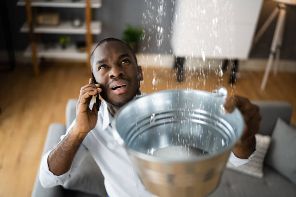 Best Flood damage cleanup  in Ault, CO