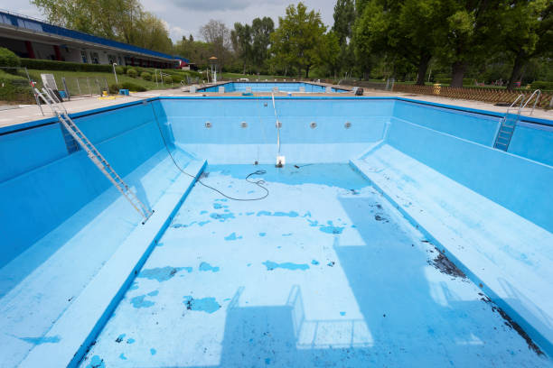Best Local water damage restoration  in Ault, CO