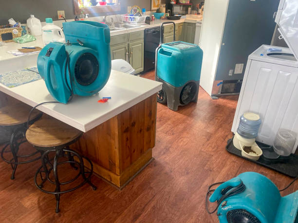Best 24/7 water damage repair  in Ault, CO