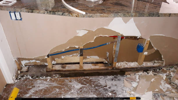 Best Commercial water damage restoration  in Ault, CO