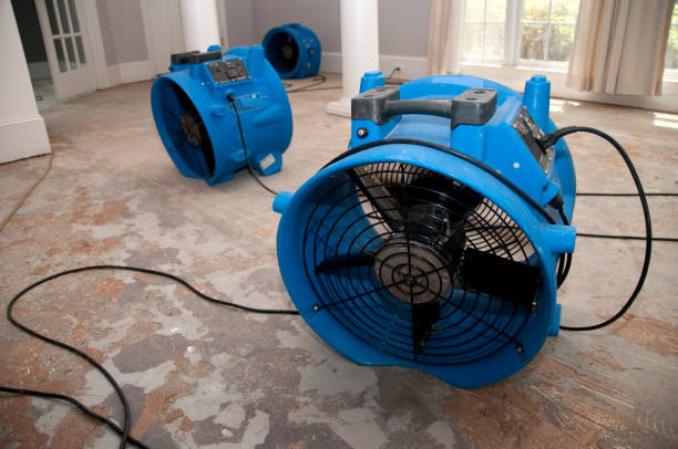 Best Water damage restoration experts  in Ault, CO