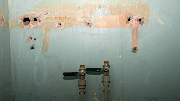 Best Flood restoration services  in Ault, CO