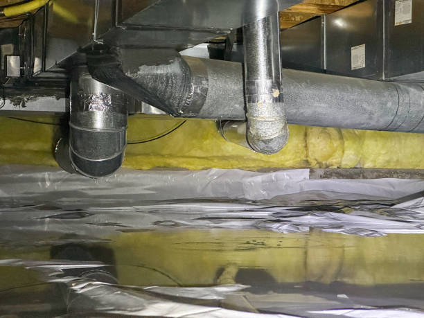 Best Water damage restoration near me  in Ault, CO