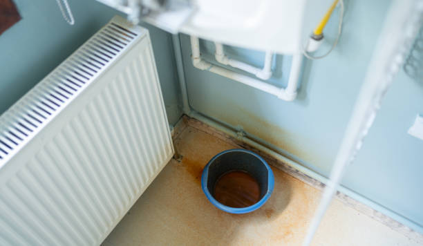 Best Water damage contractors near me  in Ault, CO