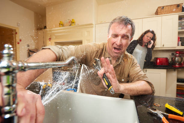 Best Mold removal after water damage  in Ault, CO
